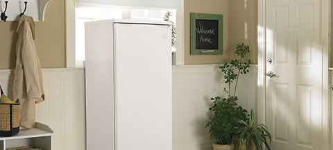 Coast Appliances Upright Freezers